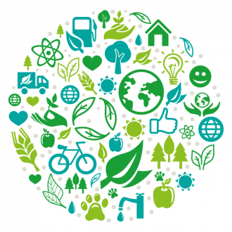 Mary Cohr elkötelezettsége a környezet iránt